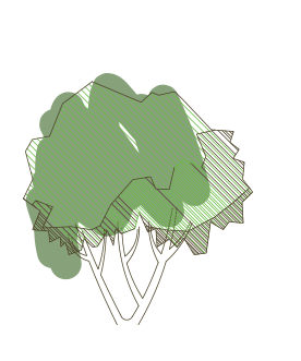 tree1