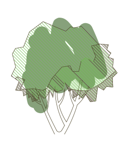 tree2